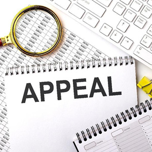 Direct Appeal Vs. Post Appeal Attacks On Conviction - Southfield, MI