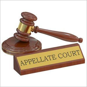 The Role Of The Court Of Appeals In Child Abuse Cases In Michigan